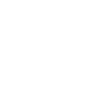 The Money Institute logo